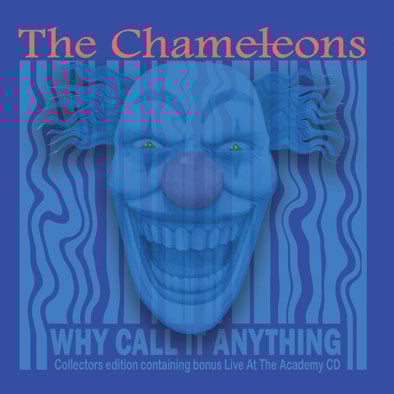 Why Call It Anything CD | The Chameleons Official Online Store